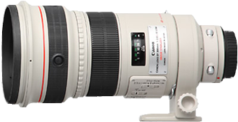 Canon 300 f/2.8 Lens