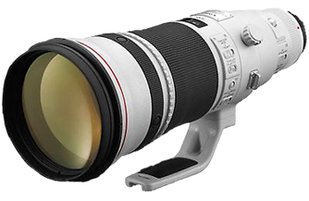 Canon 500 f4 Lens