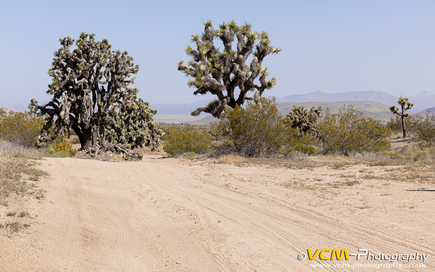 Desert off-highway vehicle route in the Mud Hills, north of Barstow, California.