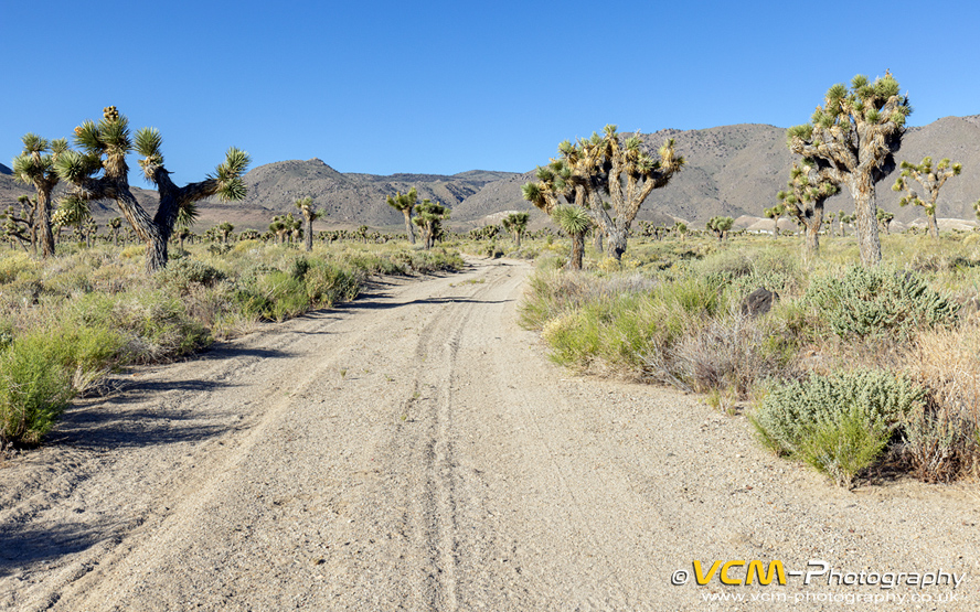 A section of the Centennial Road leading to the Coso Range